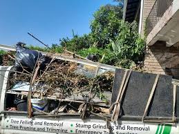 Best Garage Cleanout  in Hudson, MI